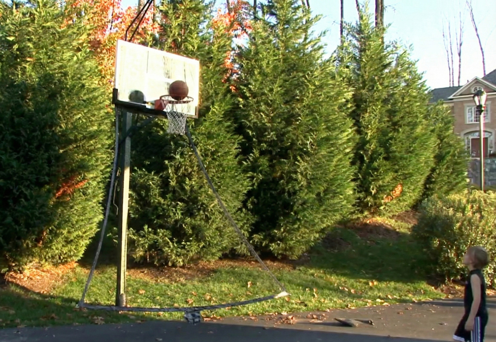Lifetime Basketball Roll Back Net – 12347 Ball Return Net Rollback System New