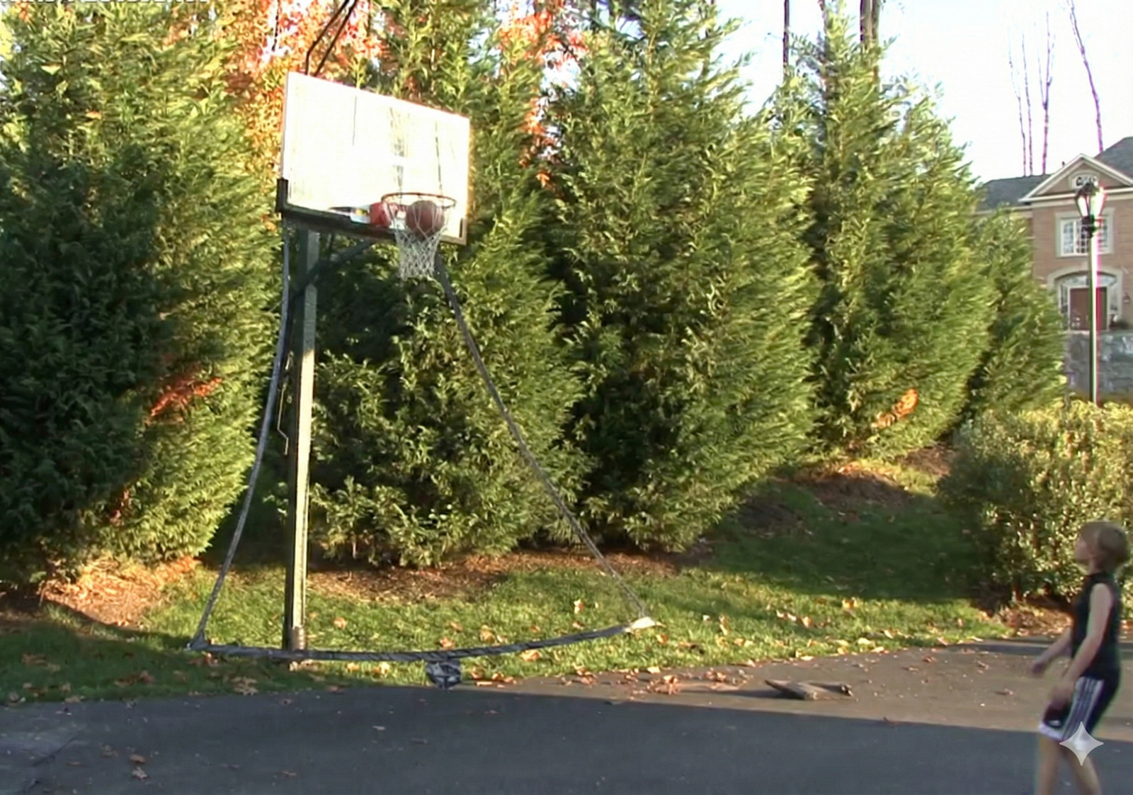 Lifetime Basketball Roll Back Net – 12347 Ball Return Net Rollback System New