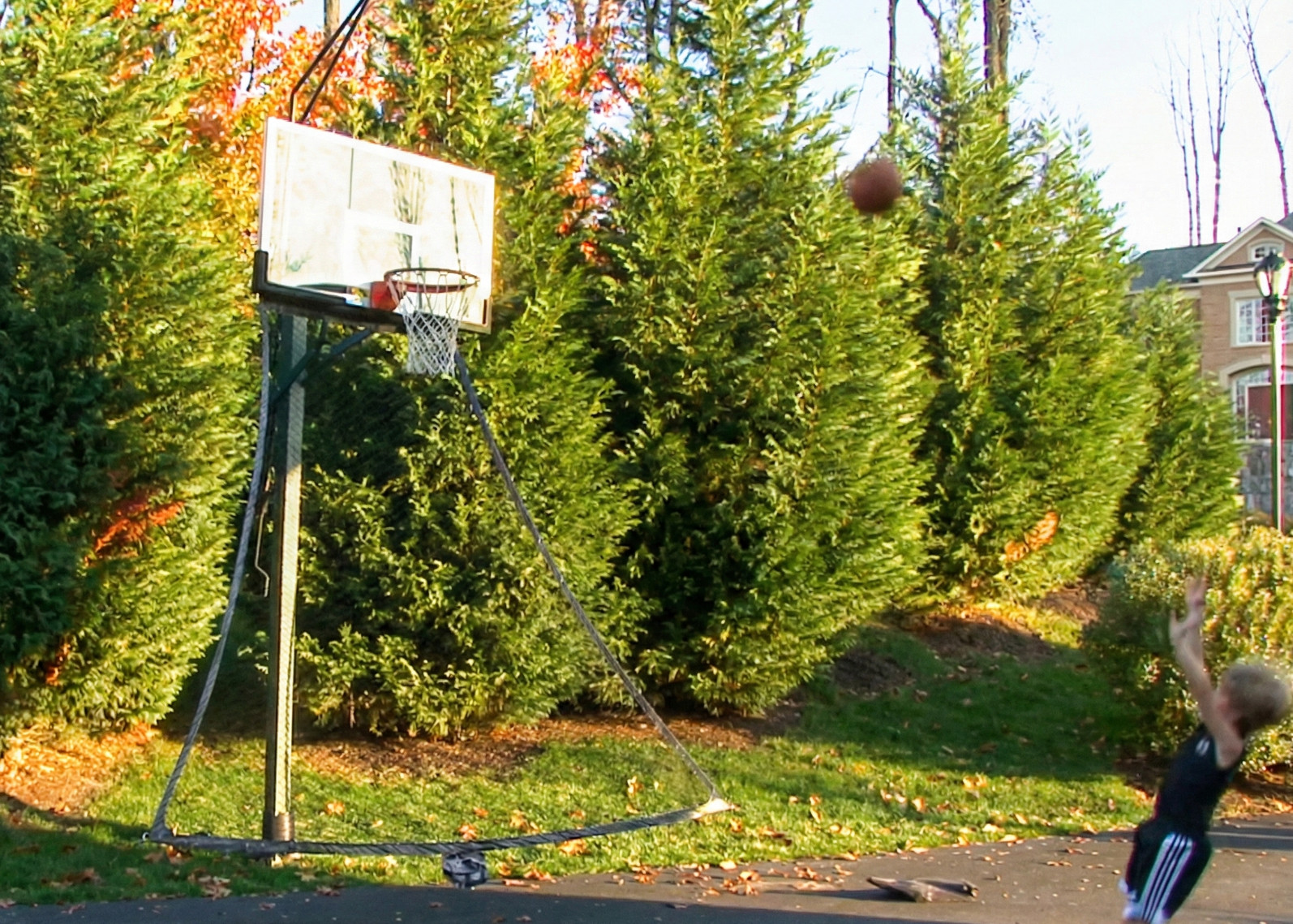 Lifetime Basketball Roll Back Net – 12347 Ball Return Net Rollback System New