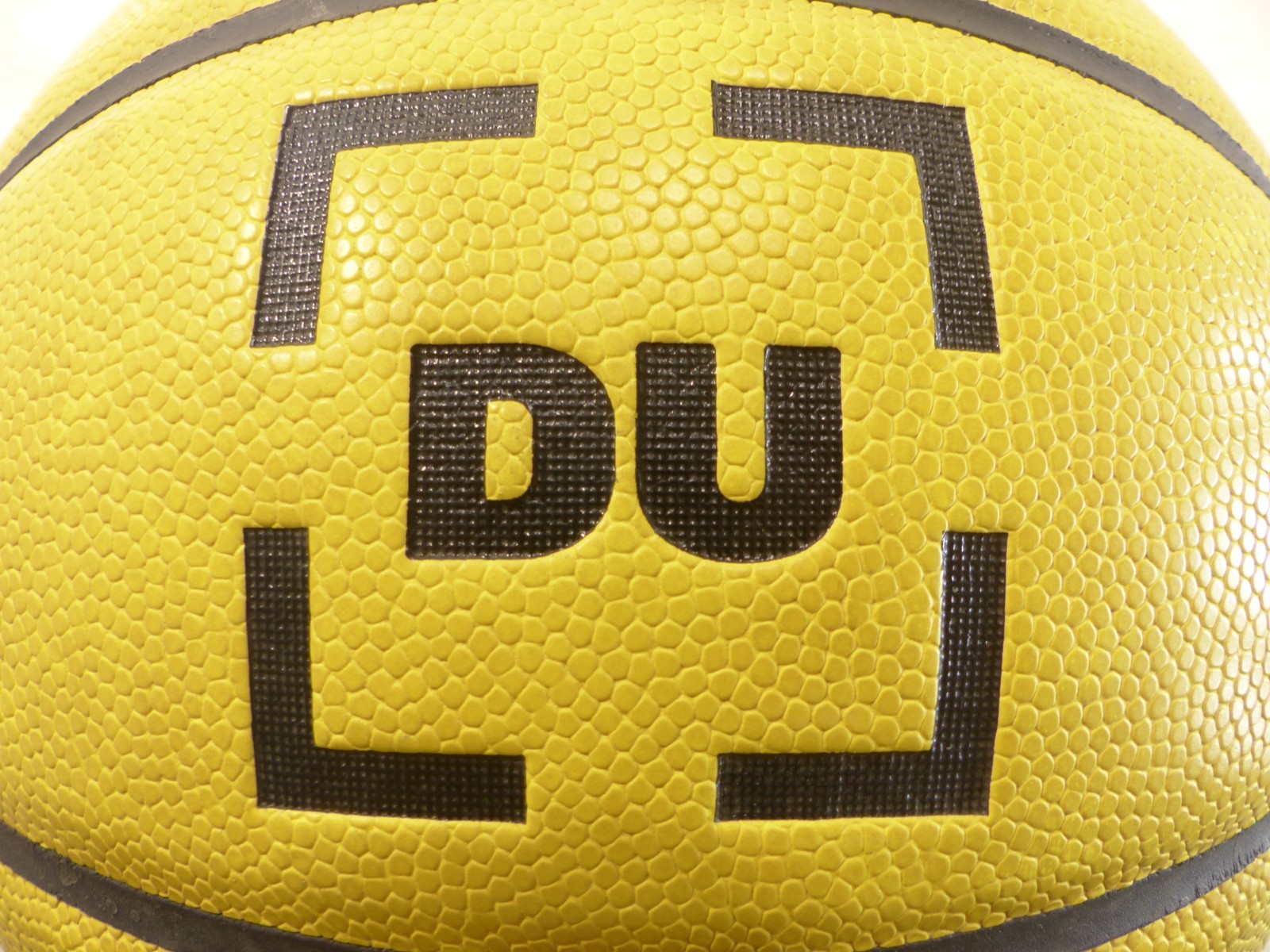 Dribble Up Smart App Enabled Training Basketball Ball Only Official Size 7 29.5″
