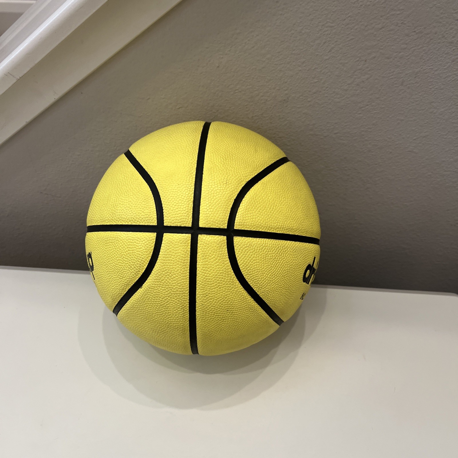 Dribble Up Smart Basketball Official Size Indoor Outdoor 29.5 Basketball