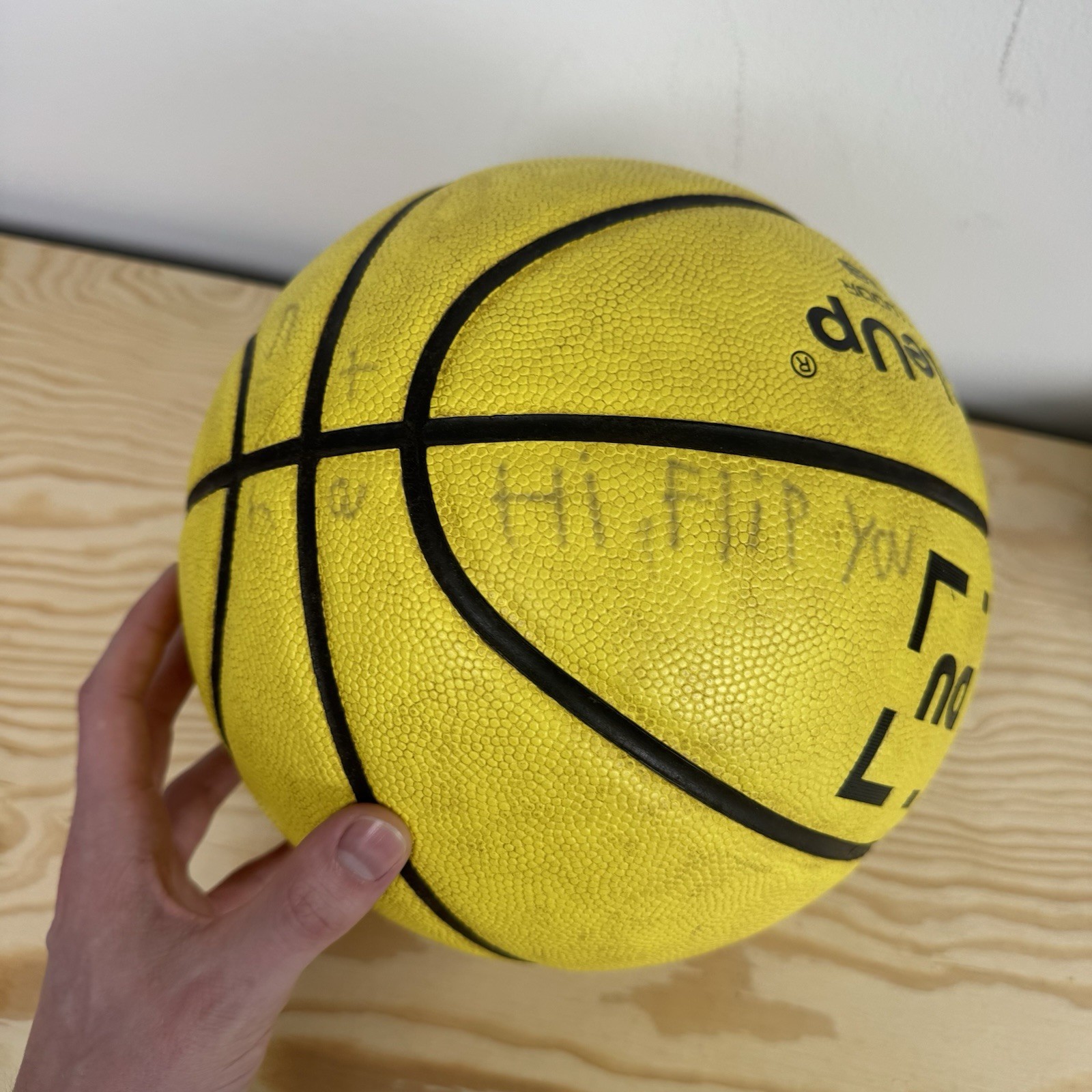 Dribble Up Smart App Enabled Training Basketball Ball Only Official Size 7 29.5